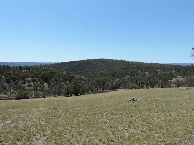 Sixth view of Homely rural property listing, Lots/67 & 74 Corrowong, Delegate NSW 2633