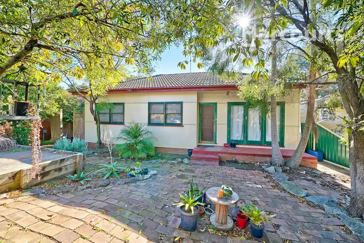 19 Scott Street, Campbelltown NSW 2560