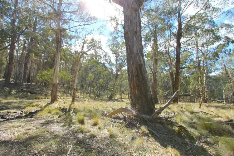 Third view of Homely rural property listing, L117 Green Hills Fire Trail, Braidwood NSW 2622