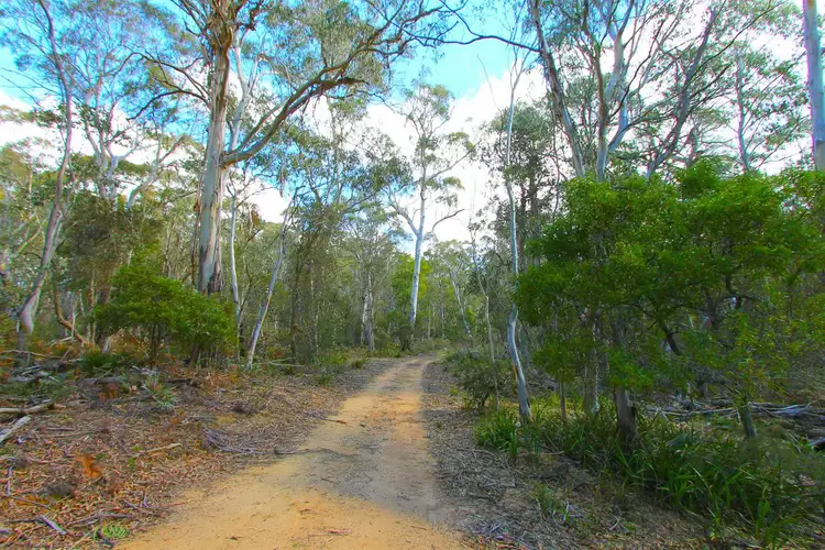 Fourth view of Homely rural property listing, L117 Green Hills Fire Trail, Braidwood NSW 2622