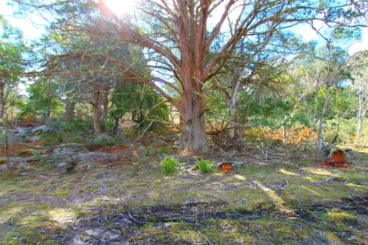 Fifth view of Homely rural property listing, L117 Green Hills Fire Trail, Braidwood NSW 2622
