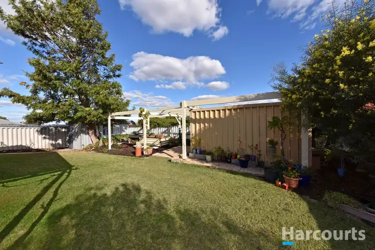 Sixth view of Homely house listing, 32 Thicket Circuit, Banksia Grove WA 6031