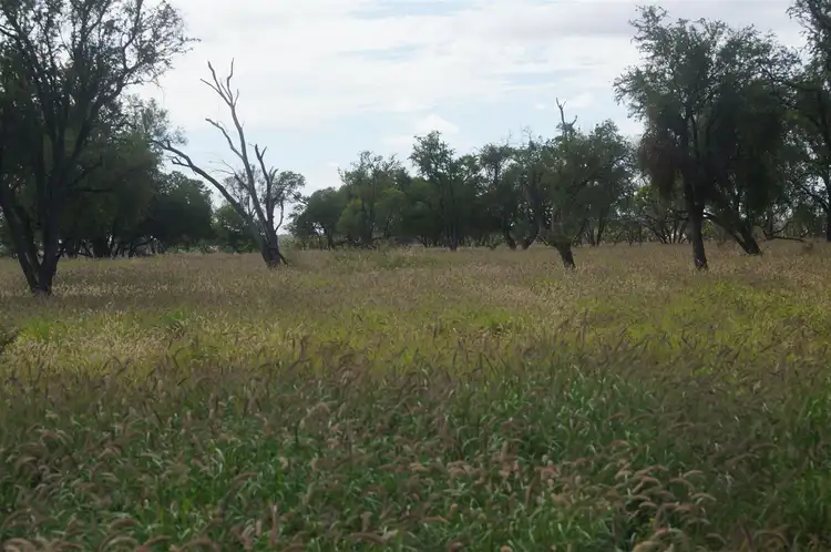 Fourth view of Homely rural property listing, Address available on request
