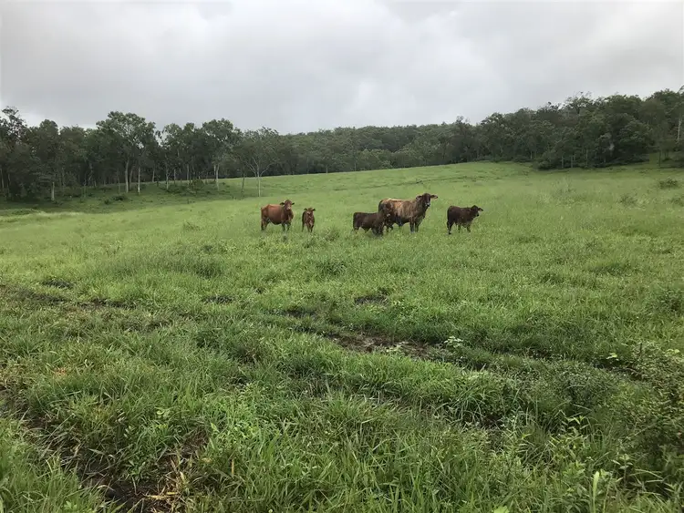 Sixth view of Homely rural property listing, Address available on request