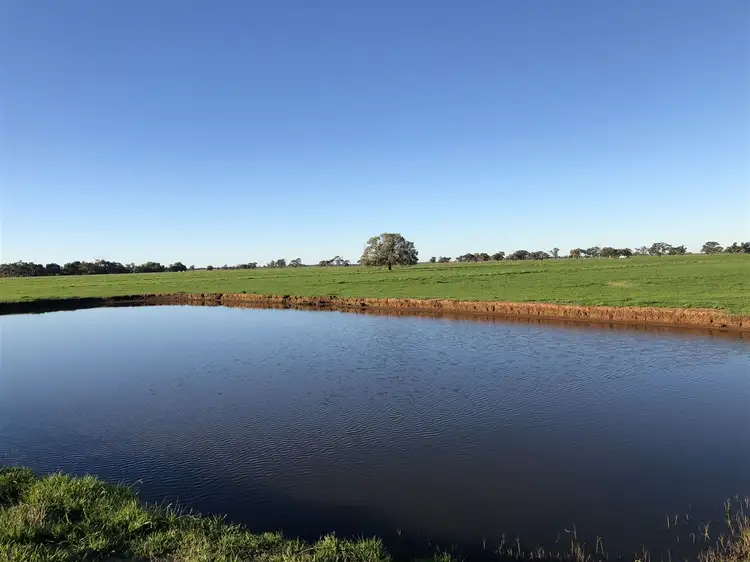 . Norwood Park, Deniliquin NSW 2710