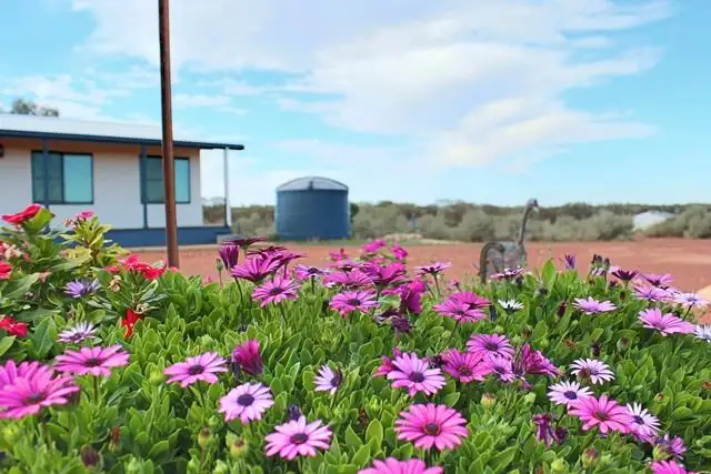 Main view of Homely house listing, 11 Annies Lane, Cobar NSW 2835