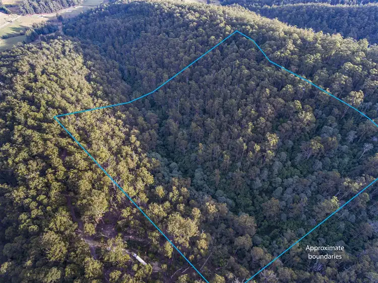 Second view of Homely land listing, 199 Batchelors Road, Nicholls Rivulet TAS 7112