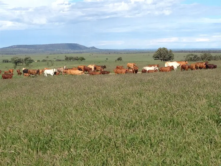 Second view of Homely rural property listing, “Illuka” ., Taroom QLD 4420