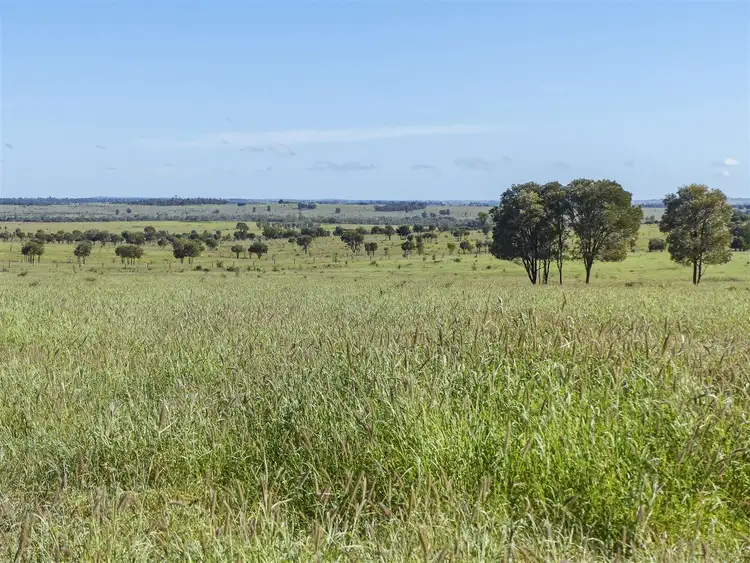 Fourth view of Homely rural property listing, “Illuka” ., Taroom QLD 4420
