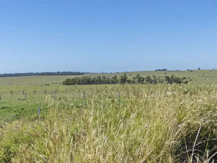 Sixth view of Homely rural property listing, “Illuka” ., Taroom QLD 4420
