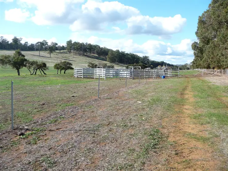 Main view of Homely rural property listing, ' Wildhurst ', Dingup WA 6258