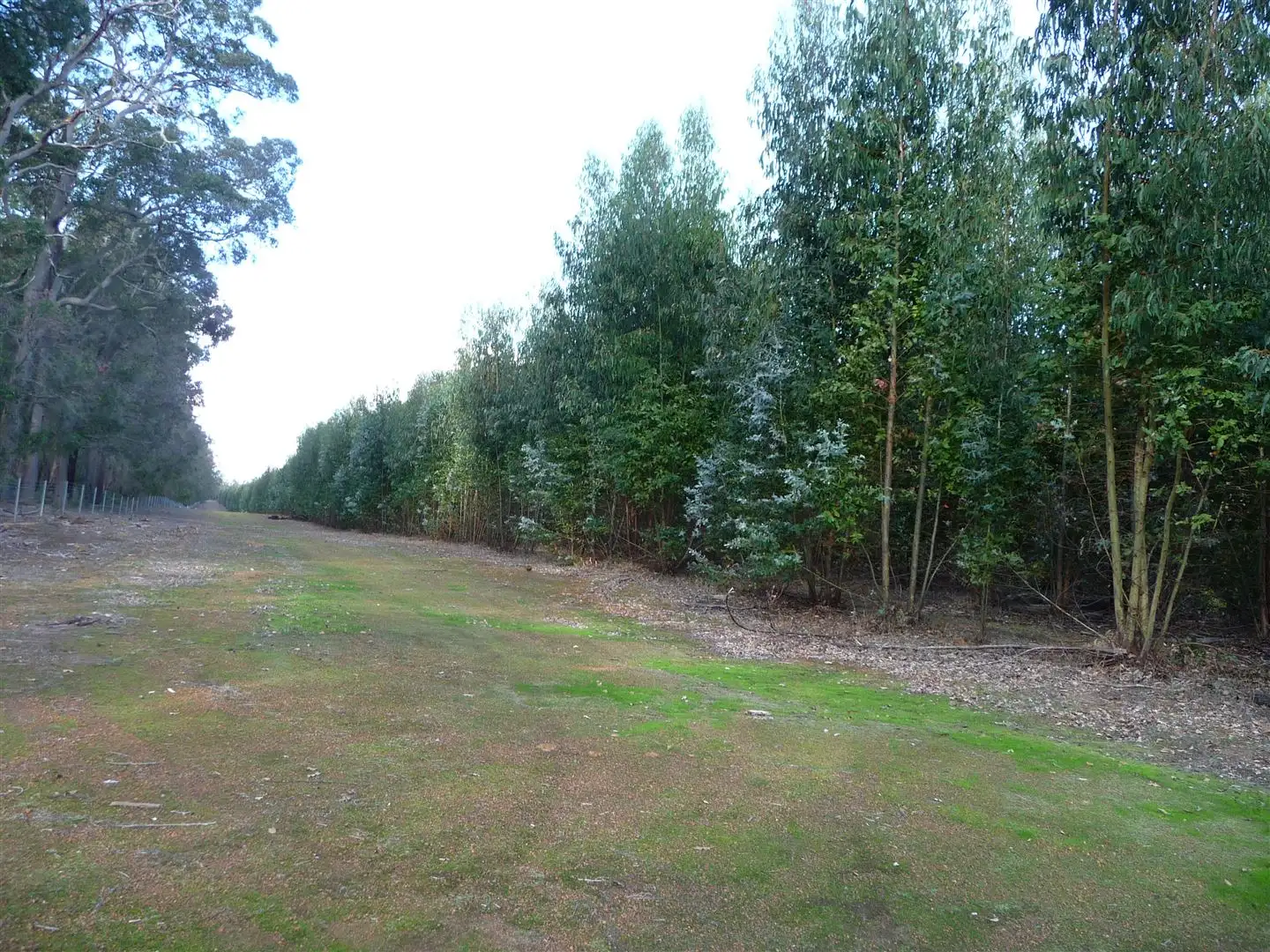 Main view of Homely rural property listing, ' Greville Road ', Bridgetown WA 6255