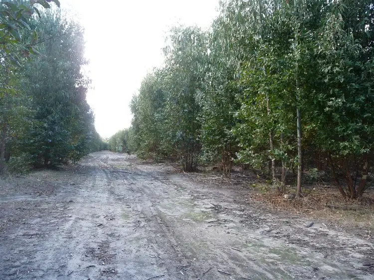 Second view of Homely rural property listing, ' Greville Road ', Bridgetown WA 6255