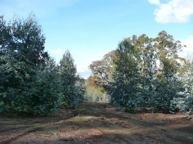 Main view of Homely rural property listing, ' Sunnyhurst B ', Dingup WA 6258