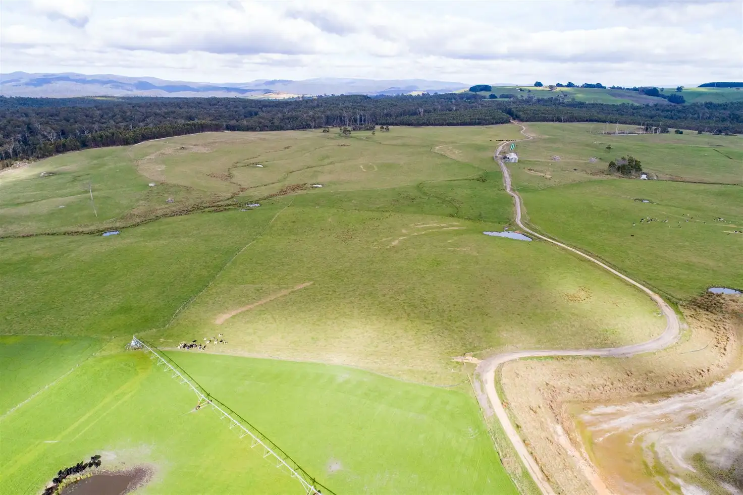 Main view of Homely rural property listing, Rex Road Banca, Winnaleah TAS 7265