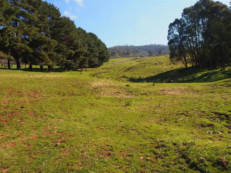 Sixth view of Homely rural property listing, 38 Spring Creek Road, Tatong VIC 3673