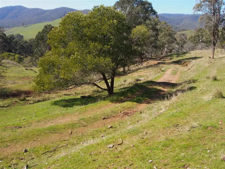 Seventh view of Homely rural property listing, 38 Spring Creek Road, Tatong VIC 3673