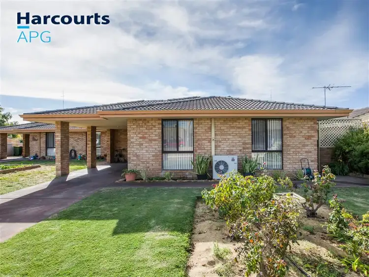 Second view of Homely unit listing, 3/124 Strickland Street, East Bunbury WA 6230