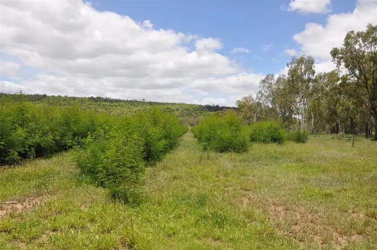 Seventh view of Homely rural property listing, Address available on request