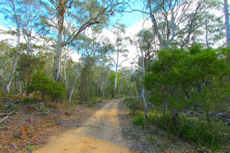 Fourth view of Homely rural property listing, 8127 Cooma Road, Braidwood NSW 2622