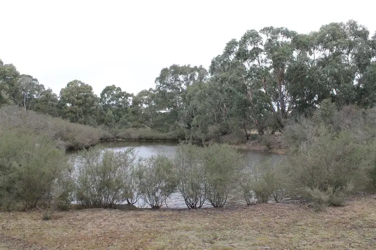 Fourth view of Homely rural property listing, 778 Charleys Forest Rd, Braidwood NSW 2622