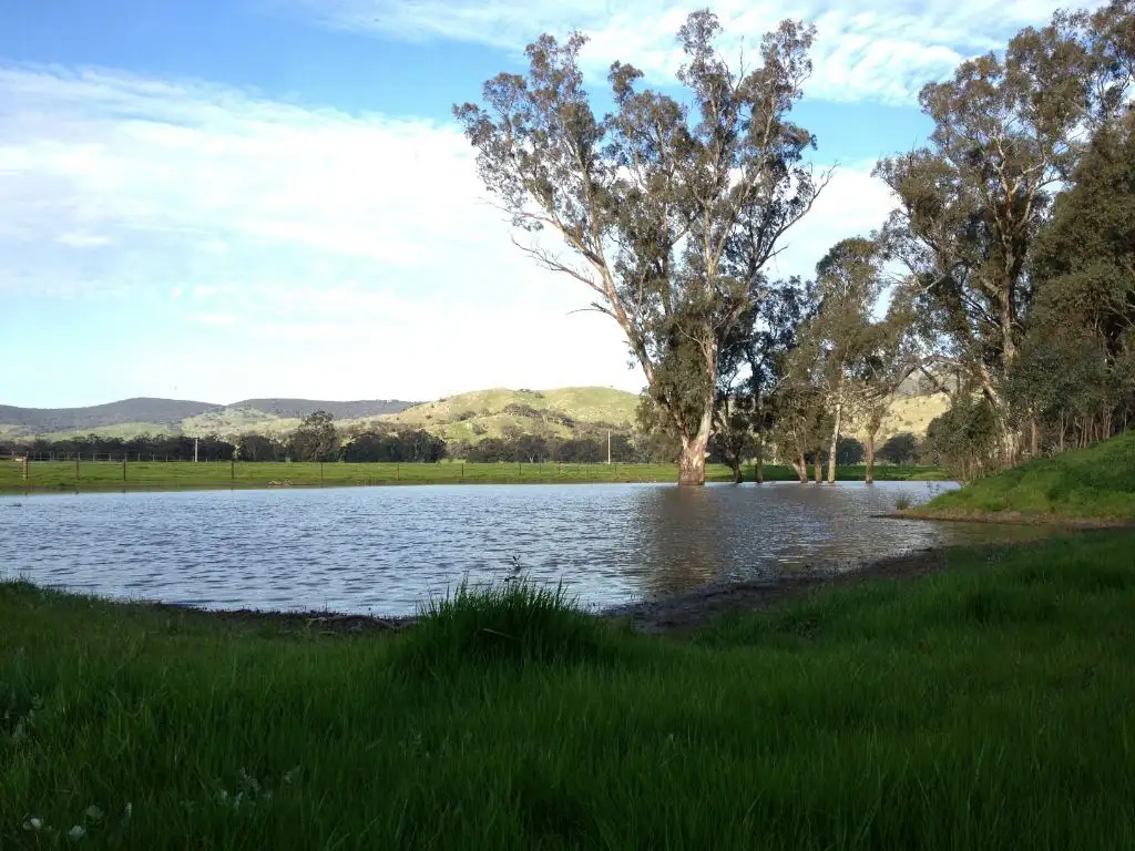 Main view of Homely rural property listing, 146 McKernans Road, Balmattum VIC 3666