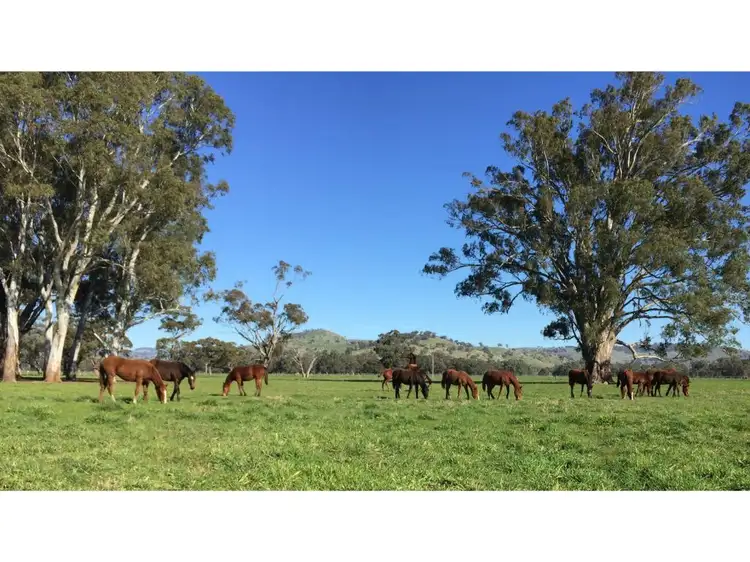 Third view of Homely rural property listing, 146 McKernans Road, Balmattum VIC 3666