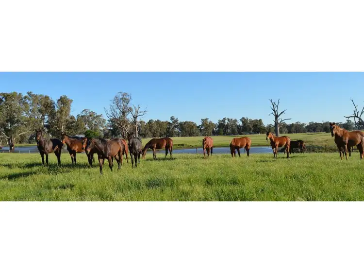 Fourth view of Homely rural property listing, 146 McKernans Road, Balmattum VIC 3666