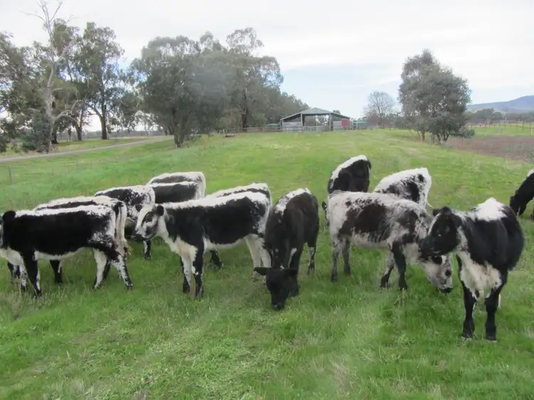 Sixth view of Homely rural property listing, 146 McKernans Road, Balmattum VIC 3666
