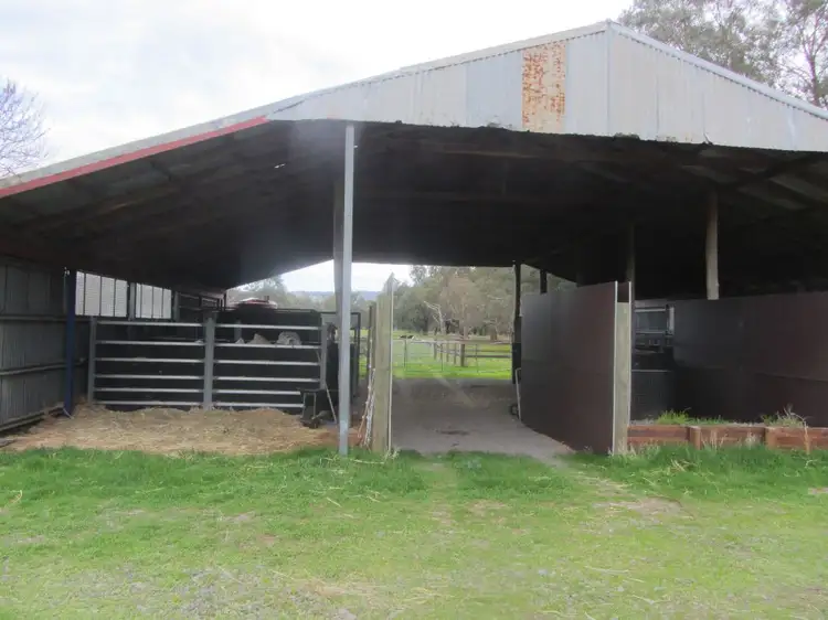 Seventh view of Homely rural property listing, 146 McKernans Road, Balmattum VIC 3666