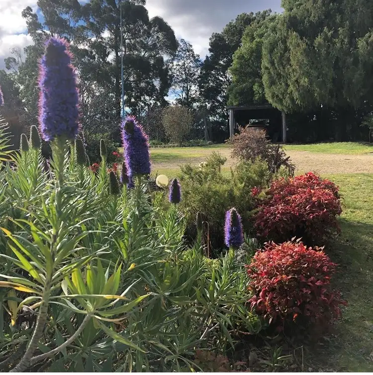 Third view of Homely rural property listing, 9 Reids Road, St Helens TAS 7216