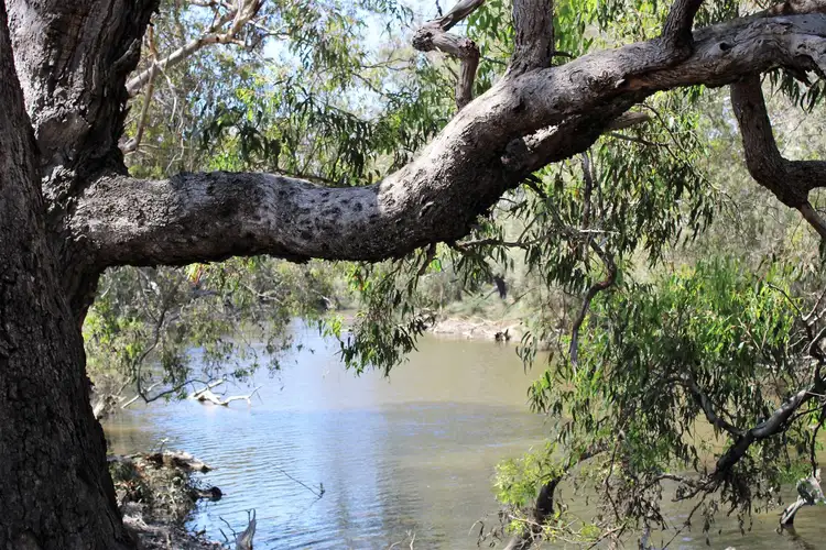 Second view of Homely rural property listing, 01 Sappers Road and Orange Springs Road Cowalla, Gingin WA 6503