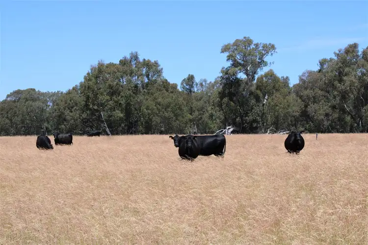 Seventh view of Homely rural property listing, 01 Sappers Road and Orange Springs Road Cowalla, Gingin WA 6503