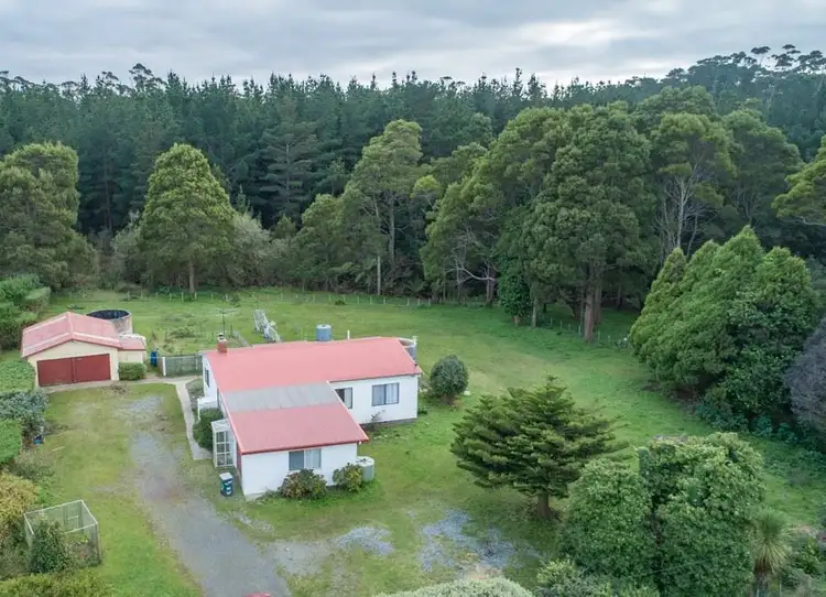 Main view of Homely house listing, 689 Pegarah Road, Pegarah TAS 7256