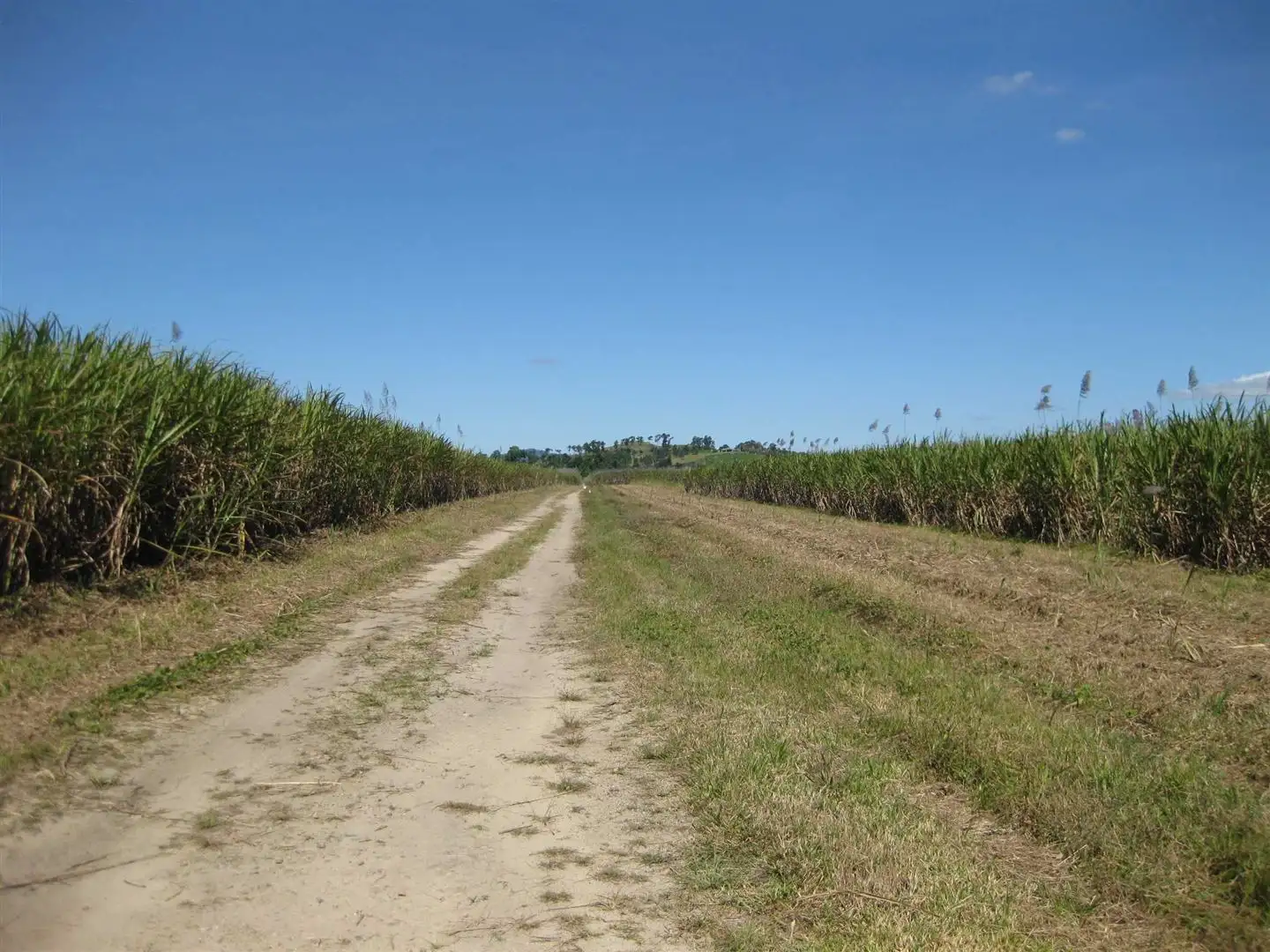Main view of Homely rural property listing, 0 Daveson Road, El Arish QLD 4855