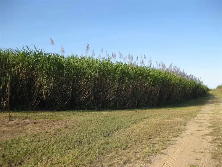Fourth view of Homely rural property listing, 0 Daveson Road, El Arish QLD 4855