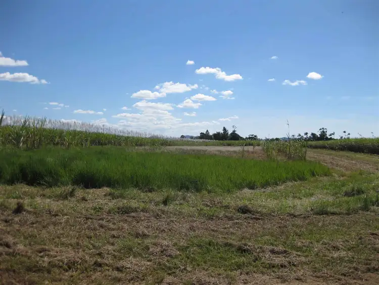Fifth view of Homely rural property listing, 0 Daveson Road, El Arish QLD 4855
