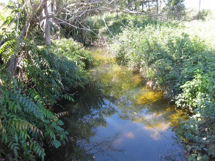 Seventh view of Homely rural property listing, 0 Daveson Road, El Arish QLD 4855