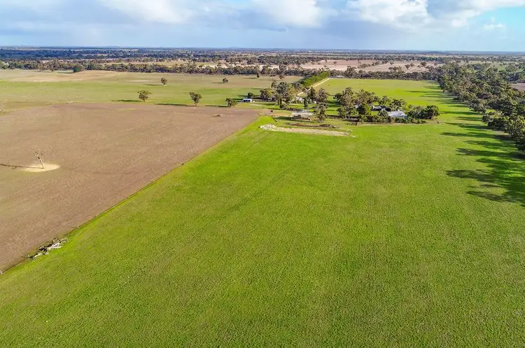 O'Deas/9297 Dukes Highway, Tintinara SA 5266