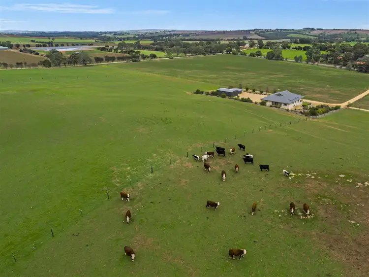 Sixth view of Homely rural property listing, 478 A Rosedale Road, Rosedale SA 5350