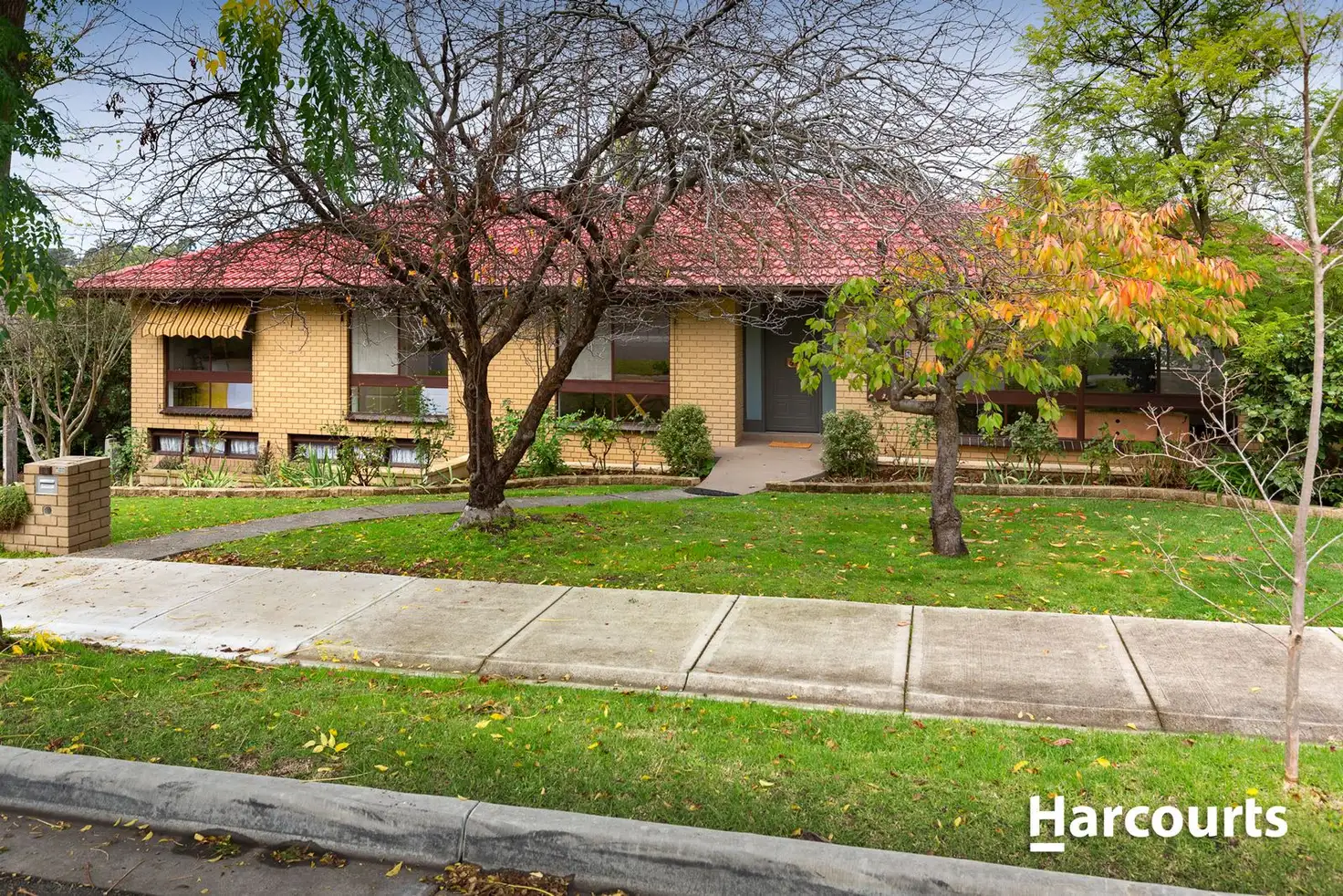 Main view of Homely house listing, 14 Russel Avenue, Berwick VIC 3806