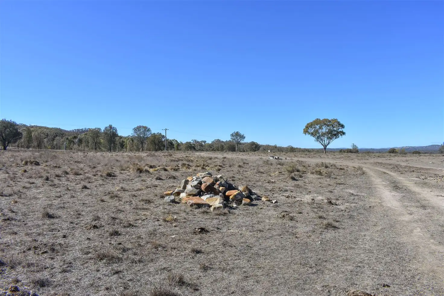 Main view of Homely rural property listing, 16 Tarban Road, Tenterfield NSW 2372