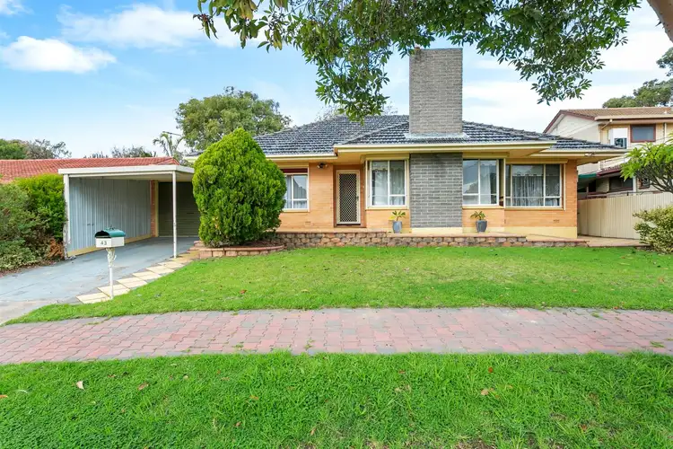 Main view of Homely house listing, 43 Tristania Tce, Dernancourt SA 5075