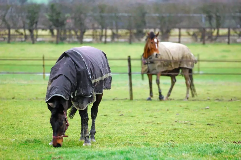 Main view of Homely house listing, 140 Ayrshire Loop, Lower Chittering WA 6084