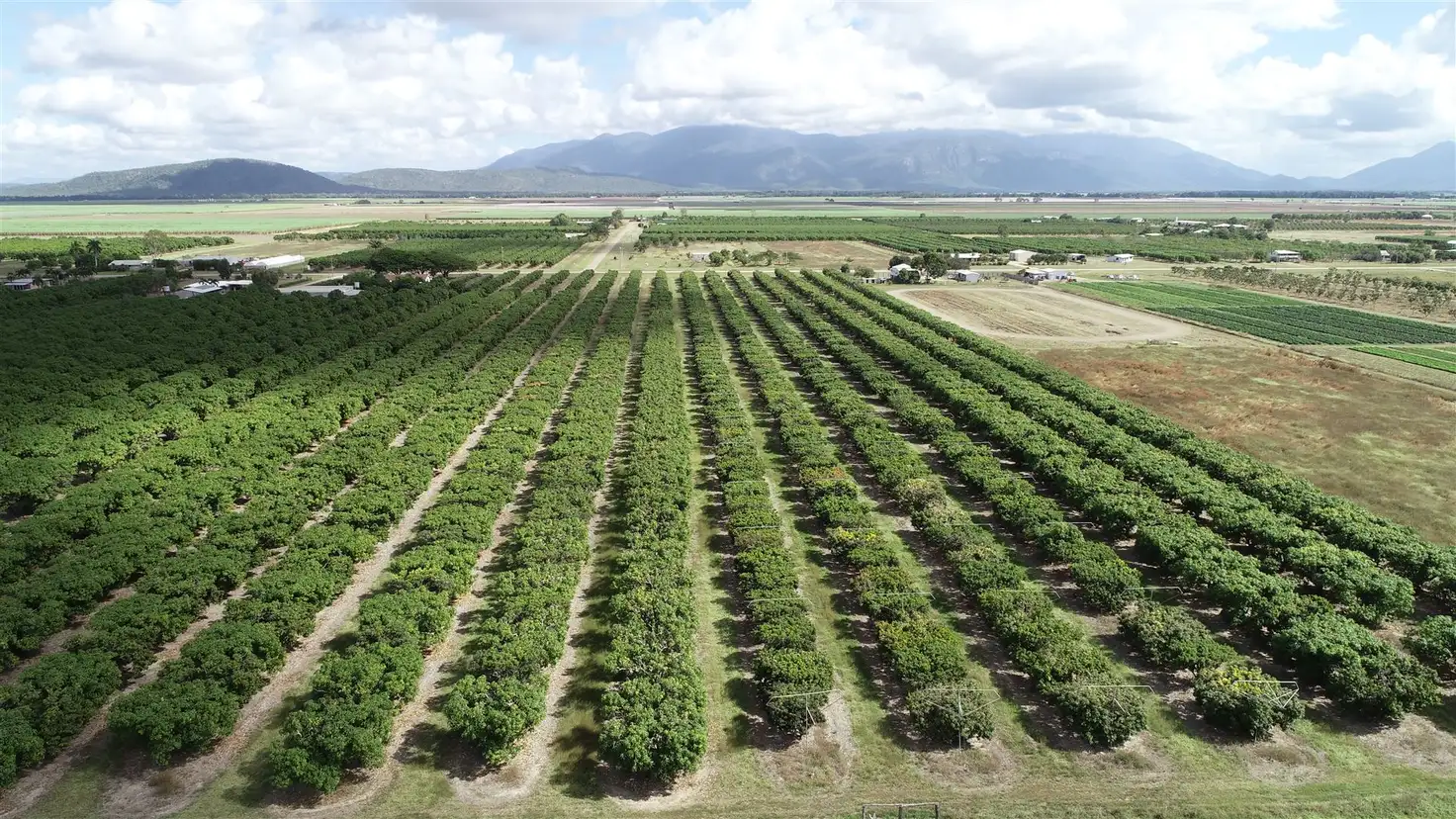 Main view of Homely rural property listing, Address available on request