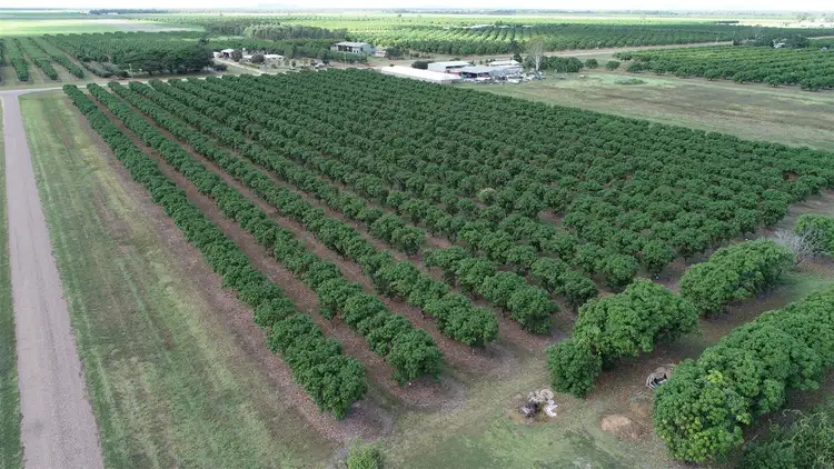 Third view of Homely rural property listing, Address available on request