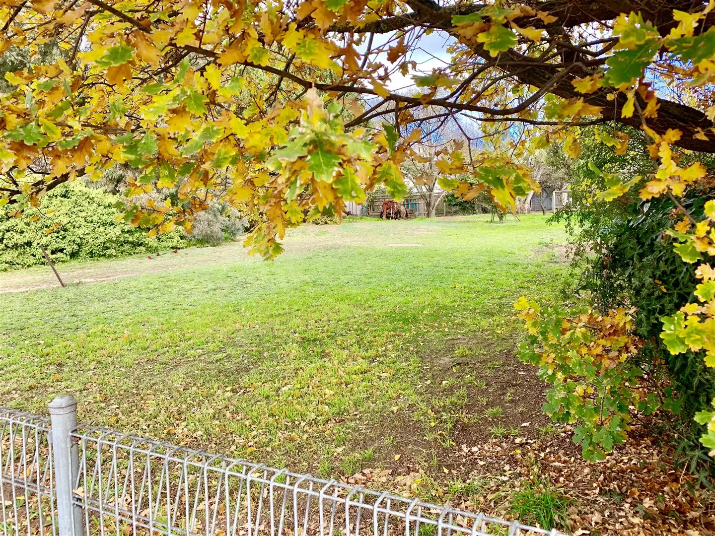 Main view of Homely land listing, 20 Cardwell Street, Bombala NSW 2632