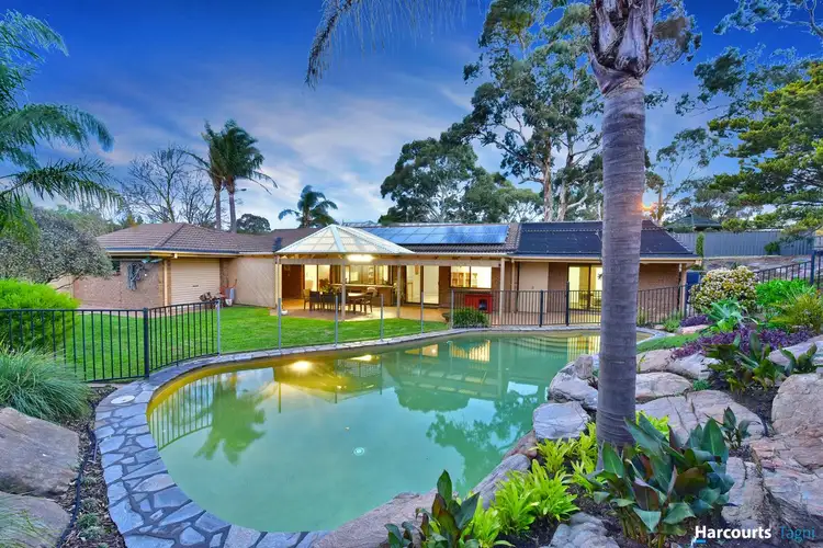 17 Rosella Close, Flagstaff Hill SA 5159