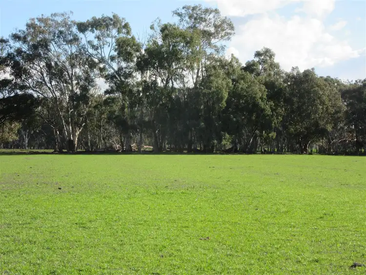 Fourth view of Homely rural property listing, 1793 Bearii East Road, Strathmerton VIC 3641