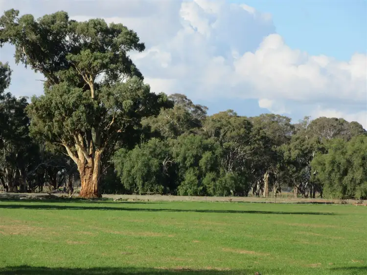 Fifth view of Homely rural property listing, 1793 Bearii East Road, Strathmerton VIC 3641
